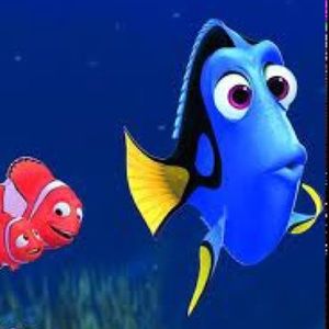 Meet your Posher, Carol